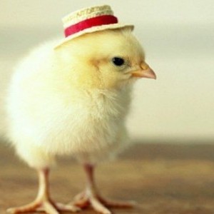 st880221's avatar